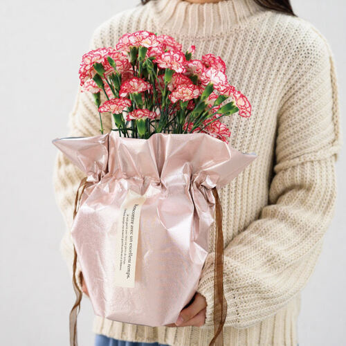 VCj[sDzJo[@U@sN@PO