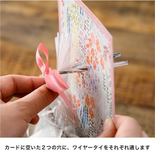 AeB[Nt[Mtg䎆u[@TO~Q