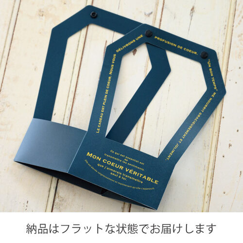 A[koogC@u[O[@PO