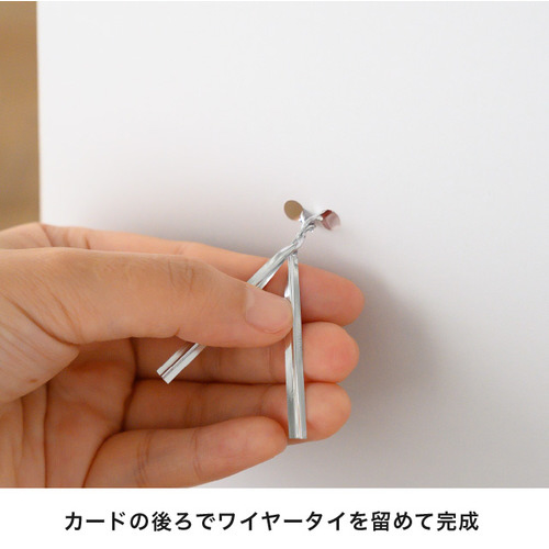 AeB[Nt[Mtg䎆CG[TO~Q