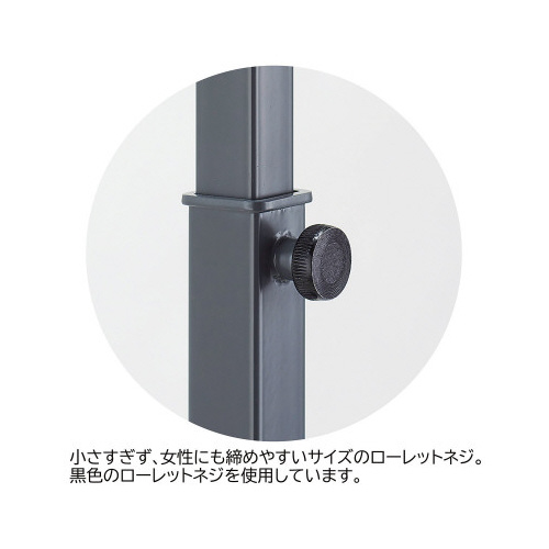 ppCvsnK[@O[@P