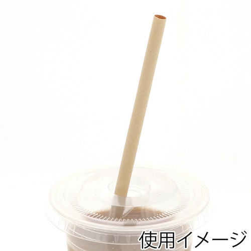 �|�X�g���[