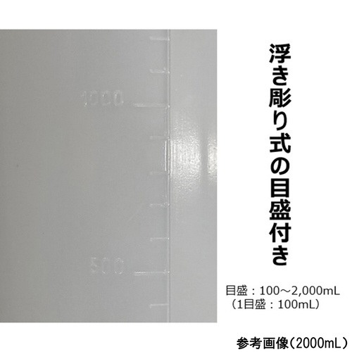 Lт@TOOk