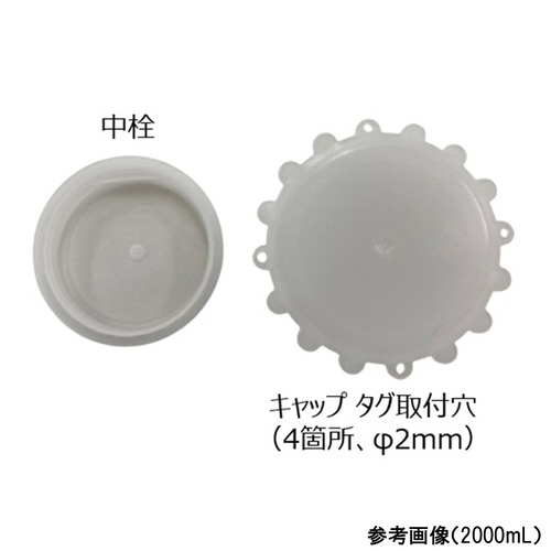 Lт@POOk