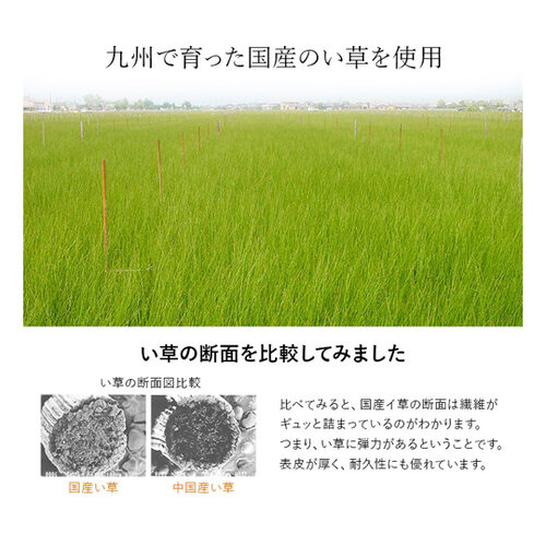 V[c@u[@xr[TCY@VO