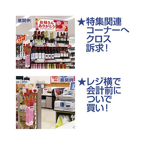 J[l[VX̔Lbg