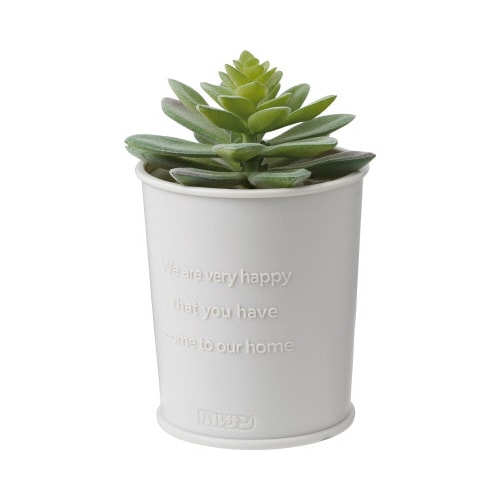 �o���T���@�����Ȃ�����u���^�v�����c�@�P�N�p