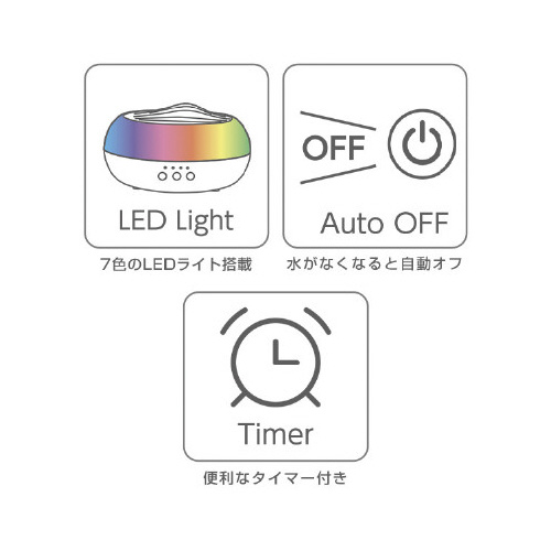 A}fBt[U[@gkdc@^C}[t