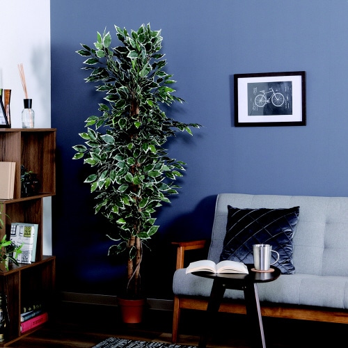 �ϗt�A���t�B�J�X