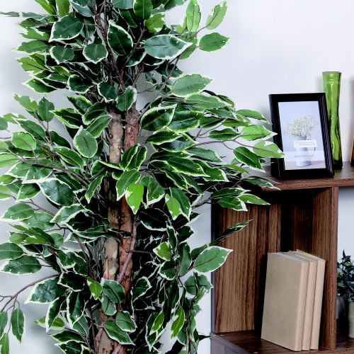 �ϗt�A���t�B�J�X