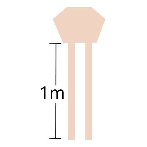`sɂႮɂ