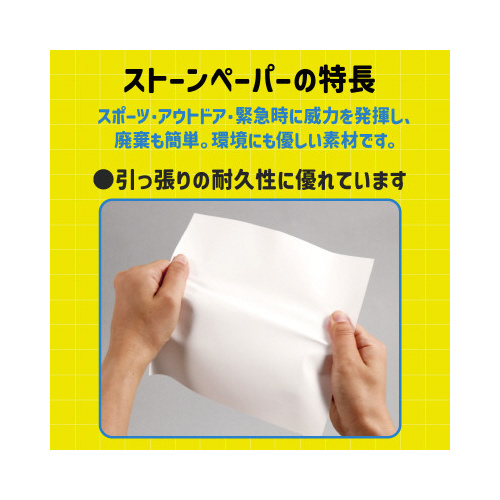pH܂莆