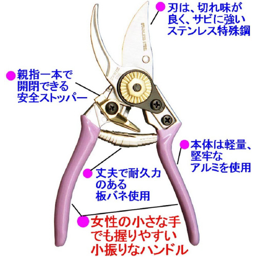 ؙ̉p