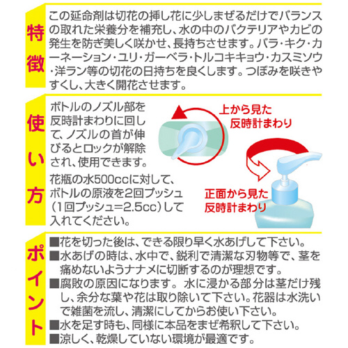 Ԃт̐ɂPWO