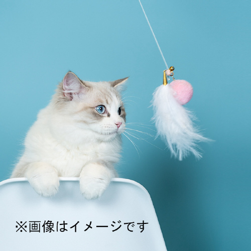 ˂炵
