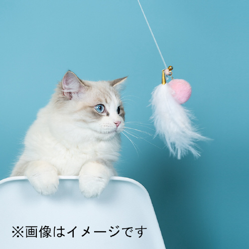 ˂炵