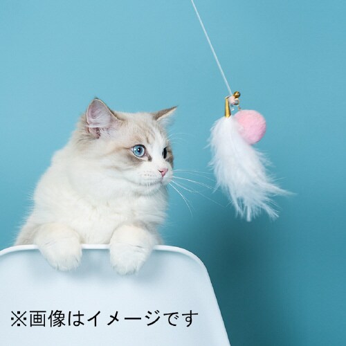˂炵