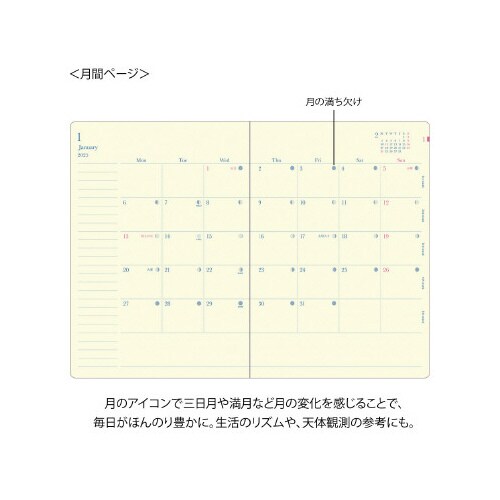 ̒蒠aU@