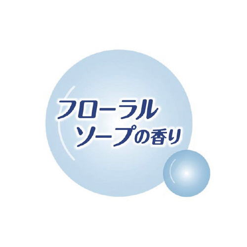 |CY炳zpeBCi[rt[