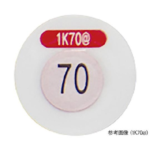 T[sbgPj^PjbistE
