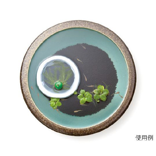 _J̒t琬Zbg@r|TVTT