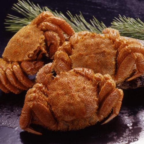 北海道産 ボイル毛がに姿