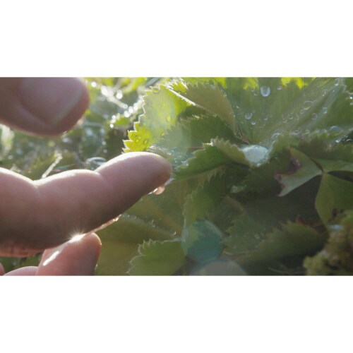 n[uXsbc@MtgZbgiQ~TOOj