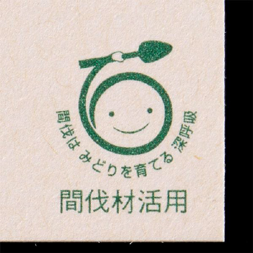 hp@S@Ԕށ@s@POO