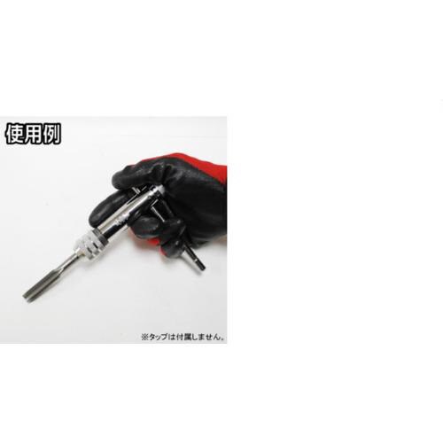 AXgv_Nc@`o@`Fbg^bvnh