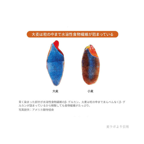 ͂΂@唞ʁ@RUO~U