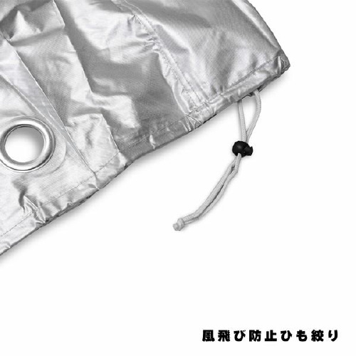 c[bNoCNJo[@vȌ萶n@Vo[