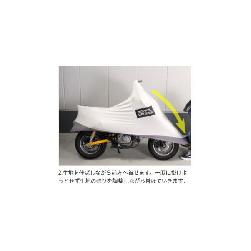 Xgb`oCNJo[@S~ji^oCNɑΉj