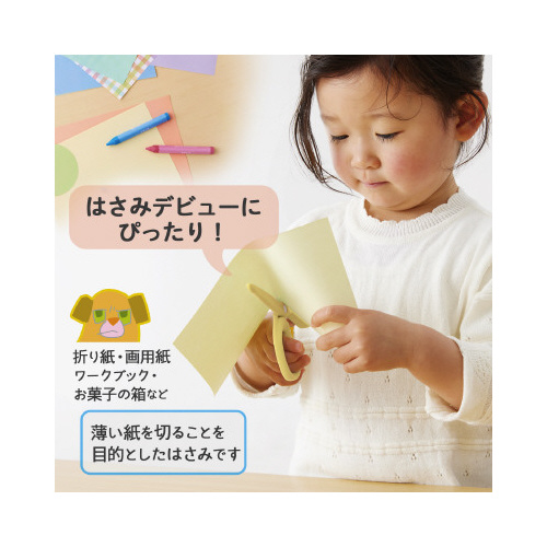 ͂݃tBbgJbgJ[ugbg@cp@CG[