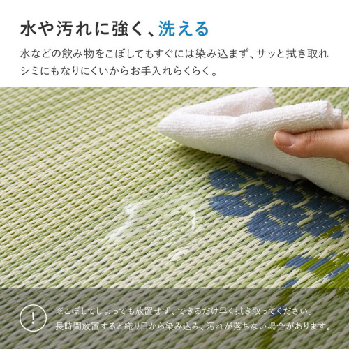 􂦂邢J[ybg@PPO@{ԂQ