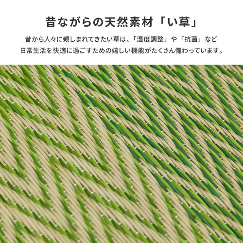 @育Ή̂O