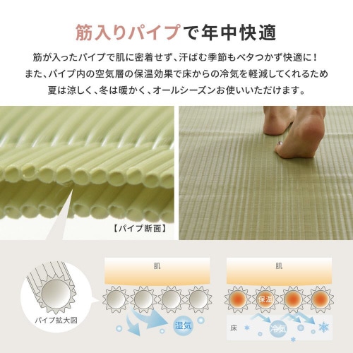 �􂦂邢�����J�[�y�b�g�@�l���@�R�U��