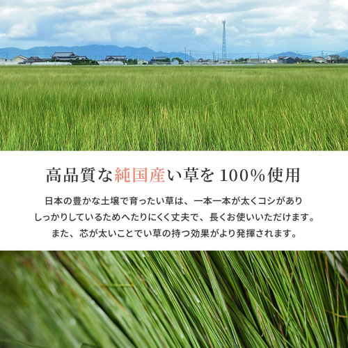 YJ[ybg@@{ԂQ