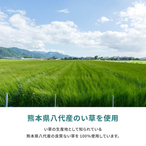 YJ[ybg@V@]ˊԂP