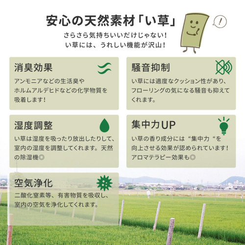 YJ[ybg@V@]ˊԂP
