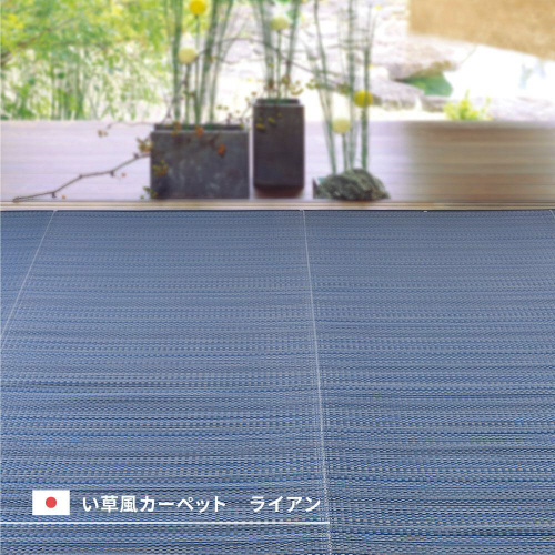 􂦂邢J[ybg@CA@{ԂPQDT