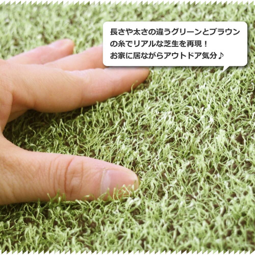 AŐ̂炩O@V[@