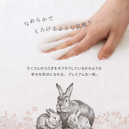 rbgt@[^b`̃v~AO@p