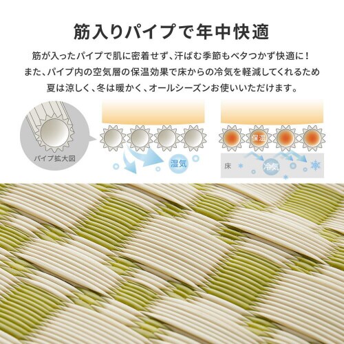 �􂦂邢�����J�[�y�b�g�@���C�X