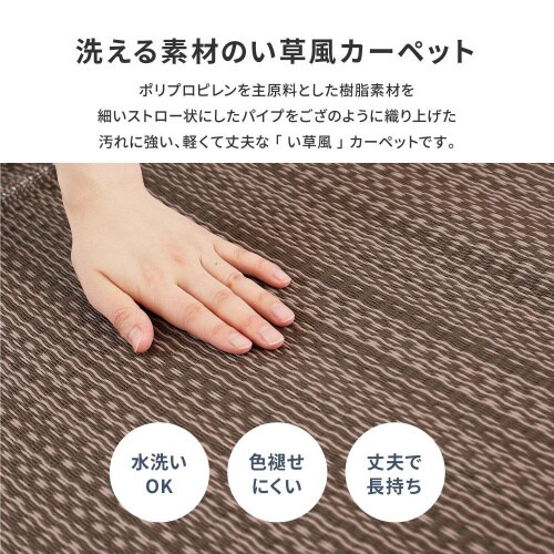 􂦂邢J[ybg@CA@{ԂW