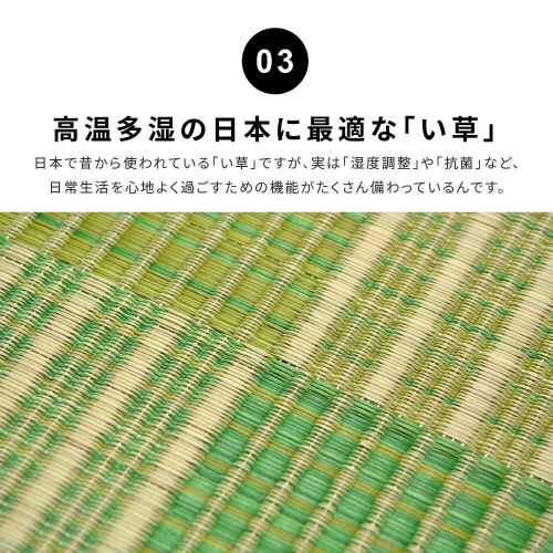 ӂ@O@NpX