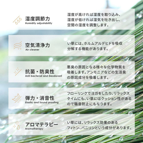 ӂ@O@NpX