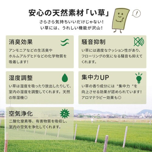 J[ybg@ni͂΁j@RUԂW