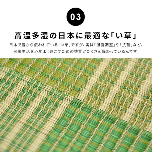 ӂ@O@NpX
