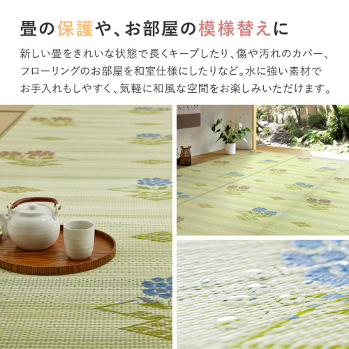 􂦂邢J[ybg@PPO@{ԂSCT