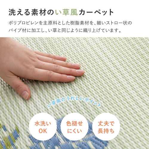 􂦂邢J[ybg@PPO@{ԂSCT